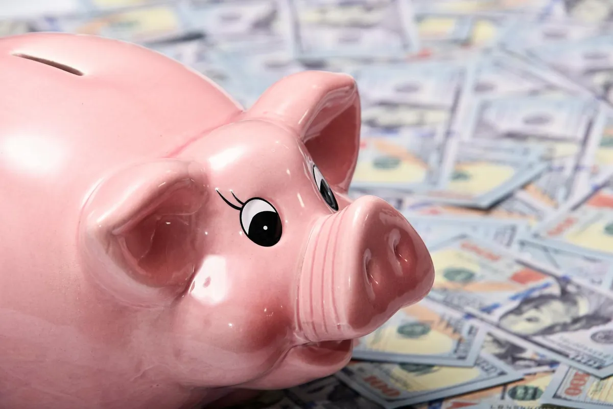 piggy bank with hundred dollar bills savings